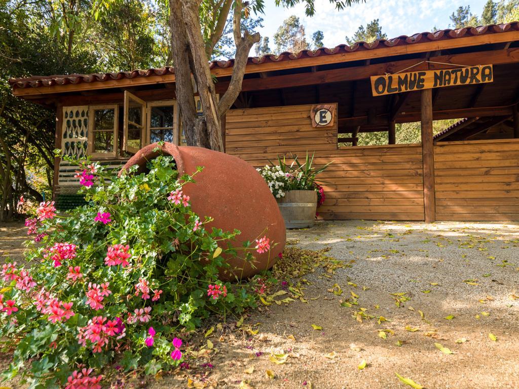 Olmue Natura Lodge&Spa Exterior foto