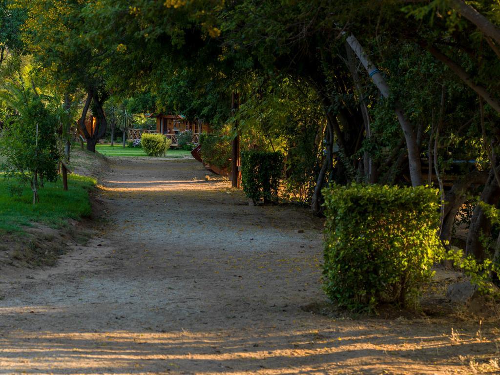 Olmue Natura Lodge&Spa Exterior foto